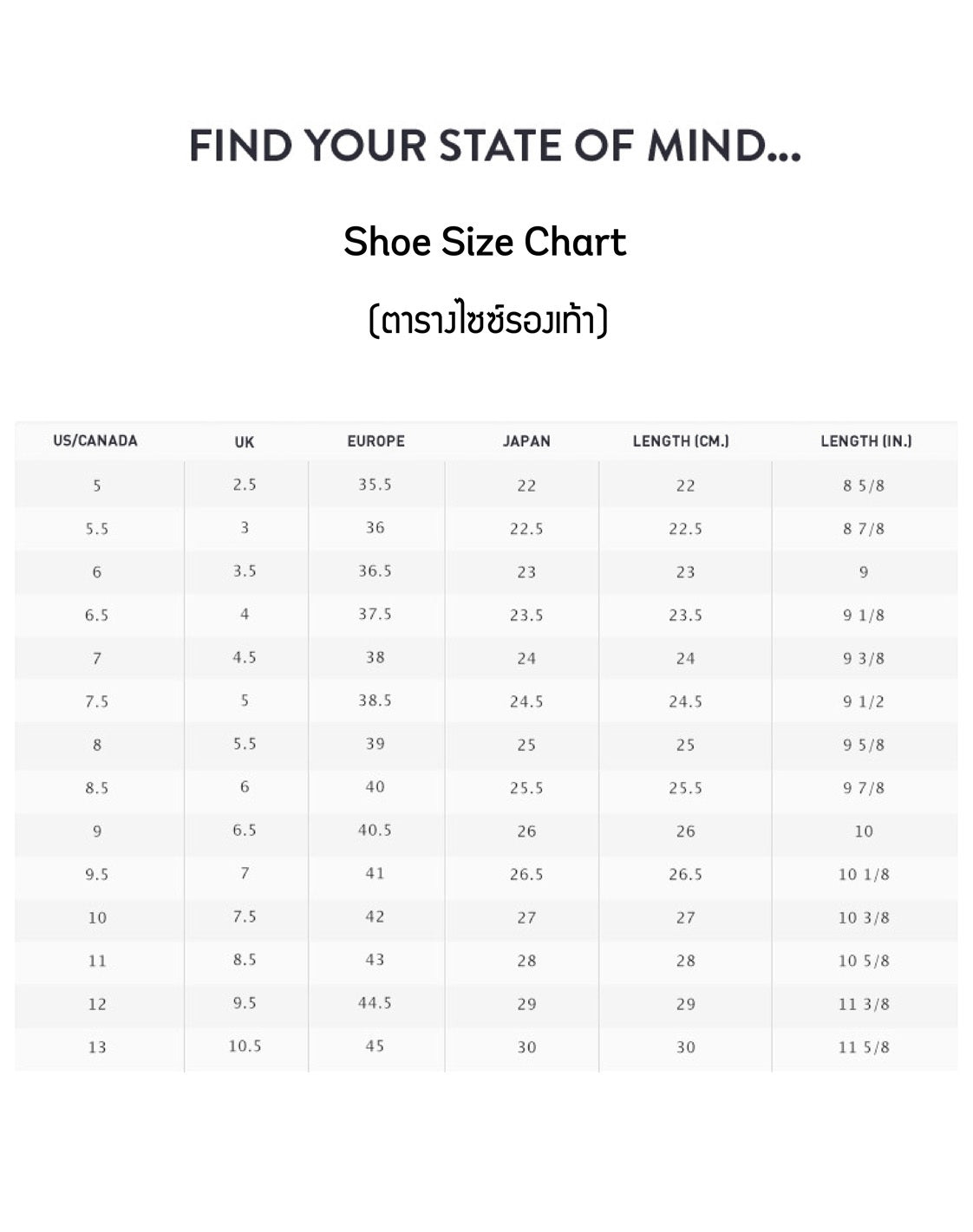 Zumba Air Stomp - Ombre