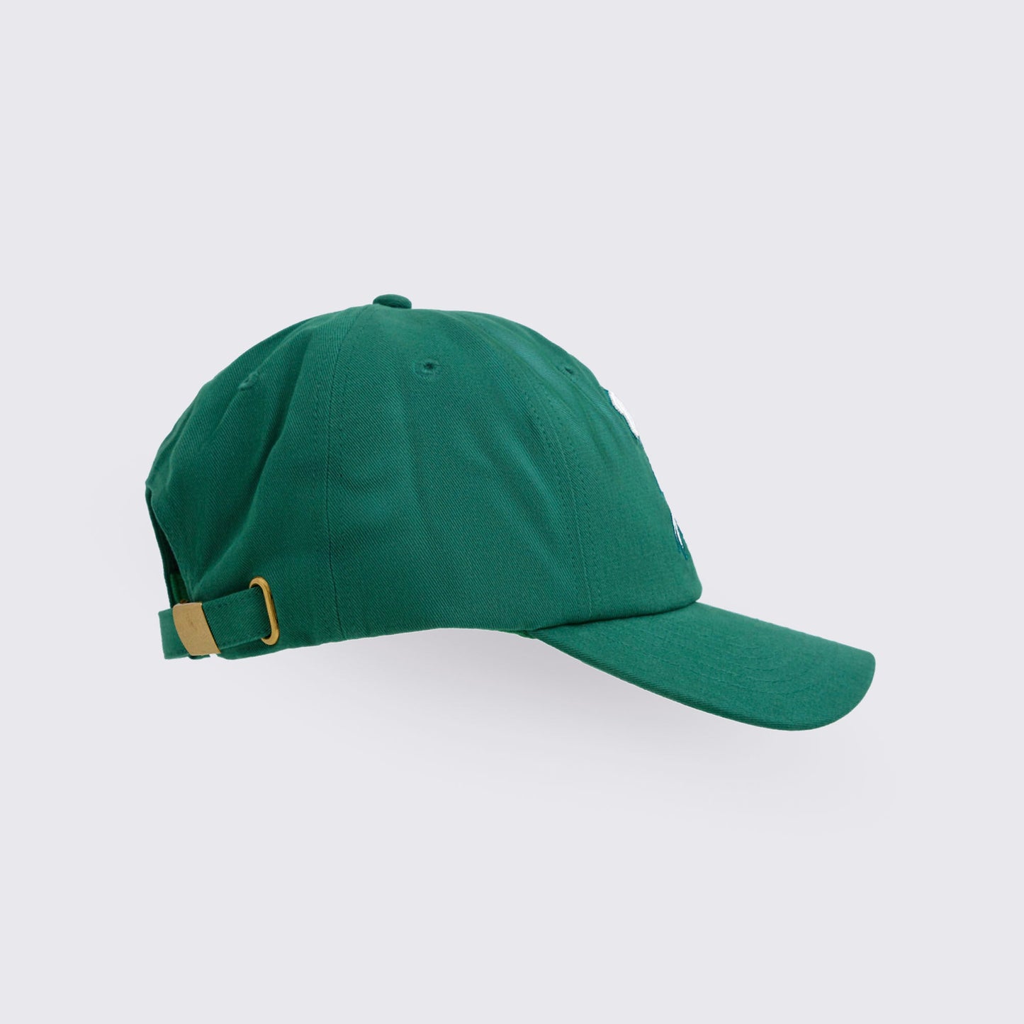 Class of 2001 Dad Hat